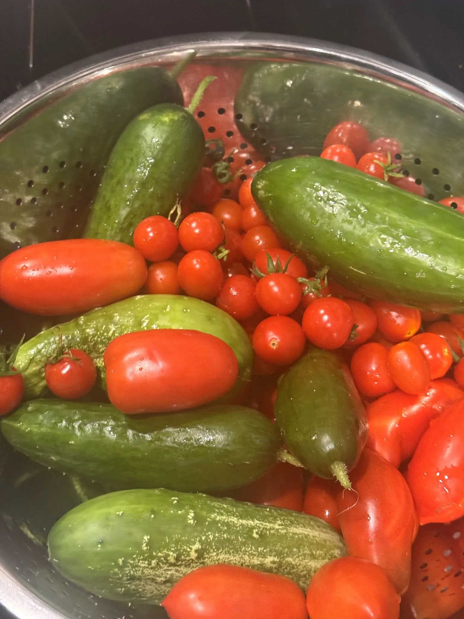 Organic vegetable garden harvest basket with tomatoes and herbs