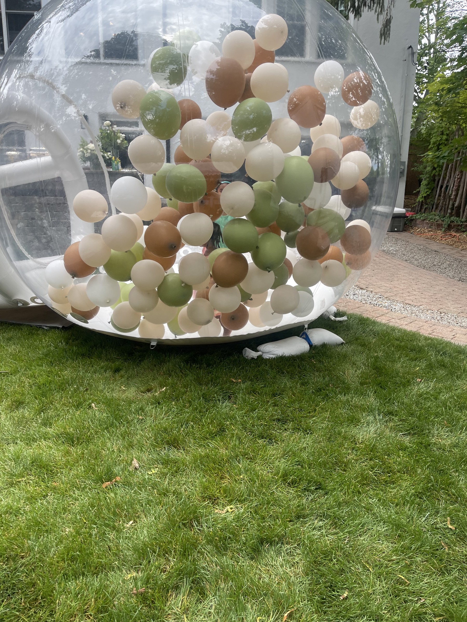 Clear inflatable balloon bubble dome filled with sage, cream, and toffee balloons at outdoor safari birthday party